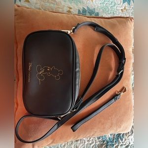 DisneyxPandora bag
